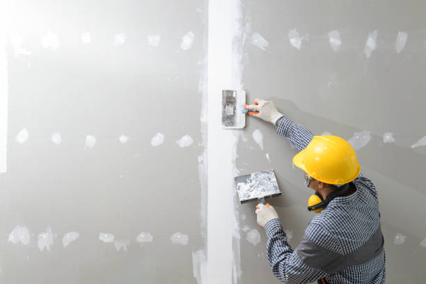 Trusted Jones Creek, TX Mold Removal Experts